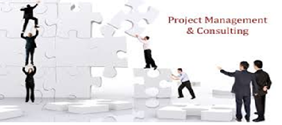 Project consultancy